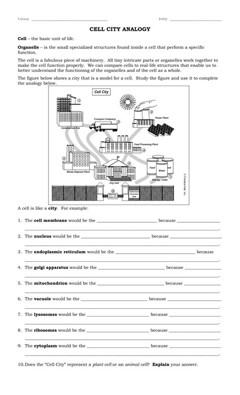 Cell City Worksheet 1 Pdf Resúmenes Biología Celular Cell City Worksheet - Cell City Worksheet