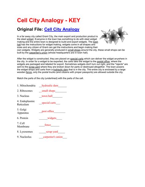 Cell City Worksheet Answer Key Answer Key Cell Cell City Worksheet - Cell City Worksheet