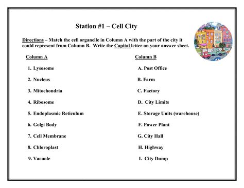 Cell City Worksheet Name Per Pdf Endoplasmic Reticulum Cell City Worksheet - Cell City Worksheet