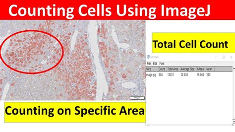 Cell Counting For Image J