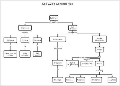 Cell Cycle Concept Map Answer Key