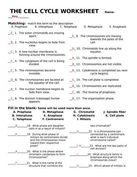 Cell Cycle Labeling Worksheets Answer Key Cell Labeling Worksheet Answers - Cell Labeling Worksheet Answers