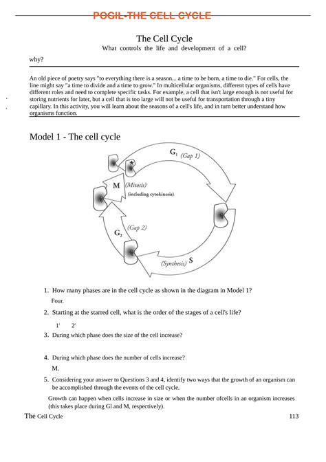 Cell Cycle Pogil Answer Key
