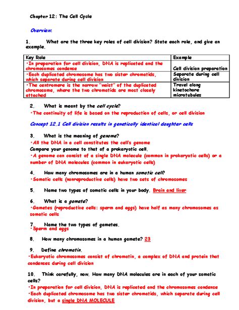 Cell Cycle Study Guide Answers Mcdougal