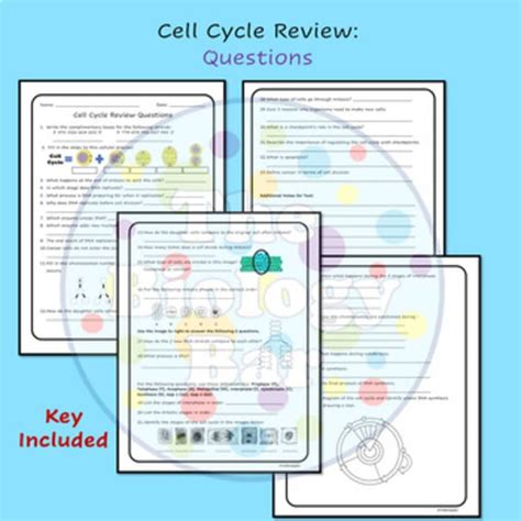 cell cycle test key