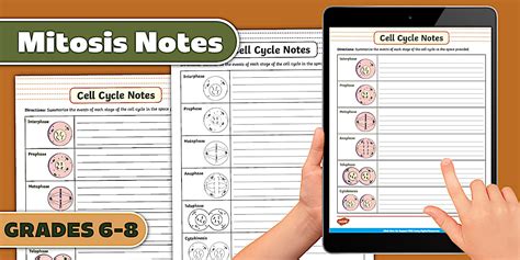 Cell Division Guided Notes 8th Grade Science Home