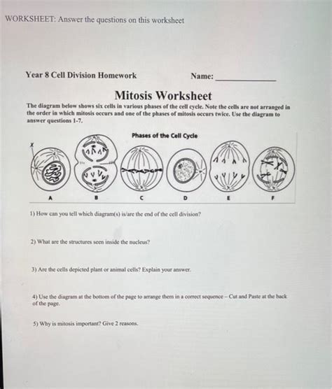 Cell Division Question And Answer