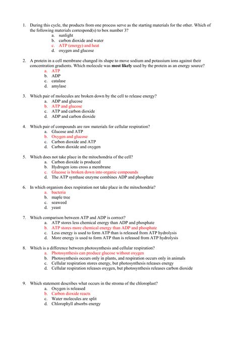 Cell Energy Atp Worksheet Answers   Cellular Respiration And Cell Energy Worksheet Flashcards - Cell Energy Atp Worksheet Answers