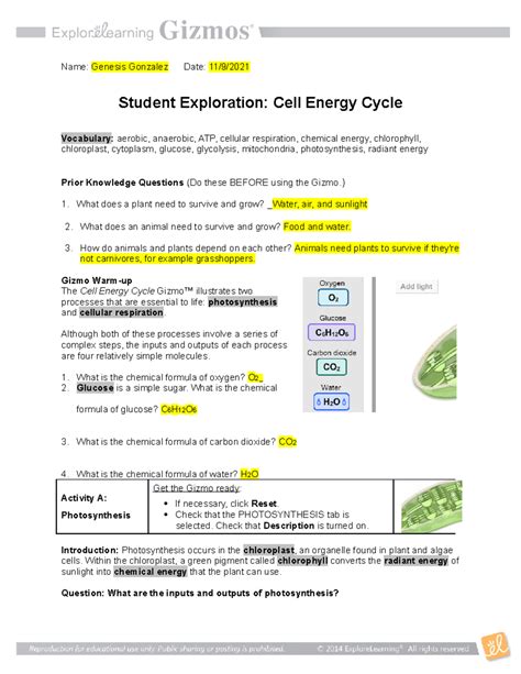Cell Energy Cycle Answer Key