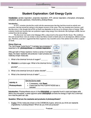 Cell Energy Cycle Gizmo Answer Key
