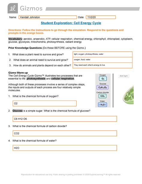 Cell Energy Gizmo Name Kendall Johnston Date 11 Cell Energy Worksheet Answers - Cell Energy Worksheet Answers