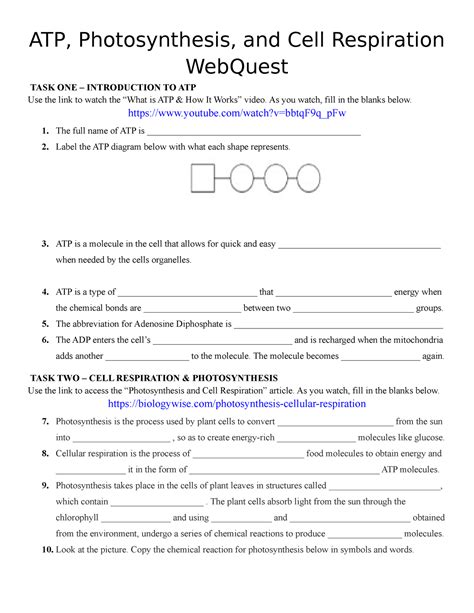 Cell Energy Webquest Atp Photosynthesis And Cell Studocu Cell Energy Atp Worksheet Answers - Cell Energy Atp Worksheet Answers