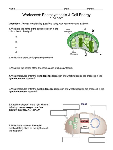 Cell Energy Worksheet   Forms Of Energy Worksheet - Cell Energy Worksheet