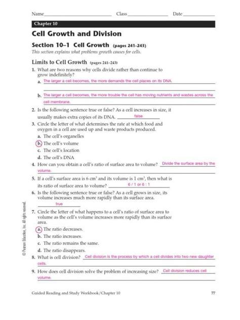 Cell Growth And Division Answer Key