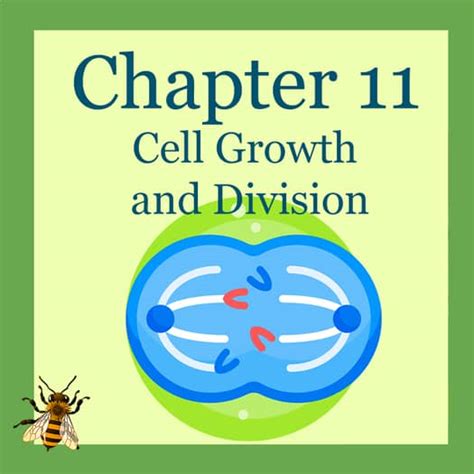 Cell Growth And Division Chapter 10 Answer Key