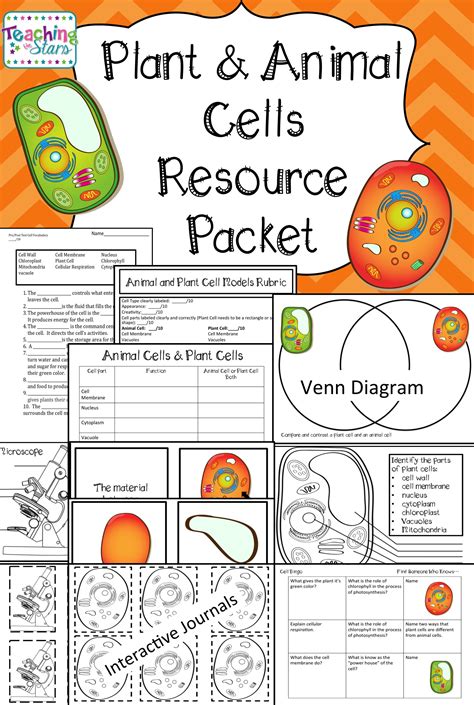 Cell Lesson Plan Plant Animal Teaching Elementary Science Teaching Cells To 5th Grade - Teaching Cells To 5th Grade