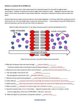 Cell Membrane And Transport Coloring Key Tpt Cell Membrane Coloring Worksheet Key - Cell Membrane Coloring Worksheet Key