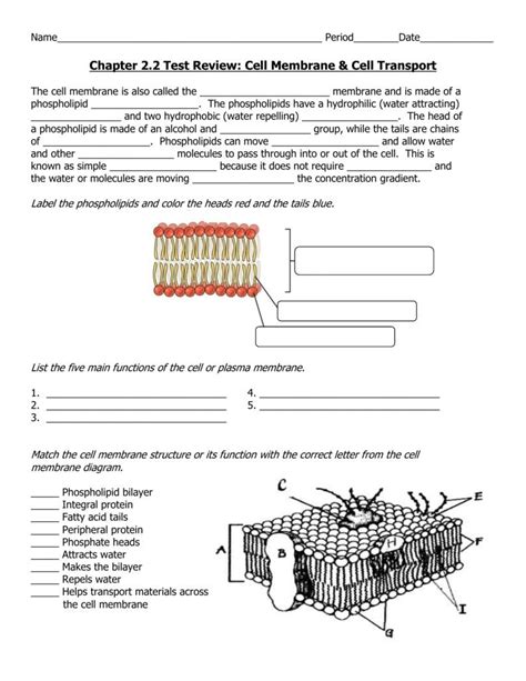 Cell Membrane Tonicity Worksheet Db Excel Com Principles Of Government Worksheet Answers - Principles Of Government Worksheet Answers
