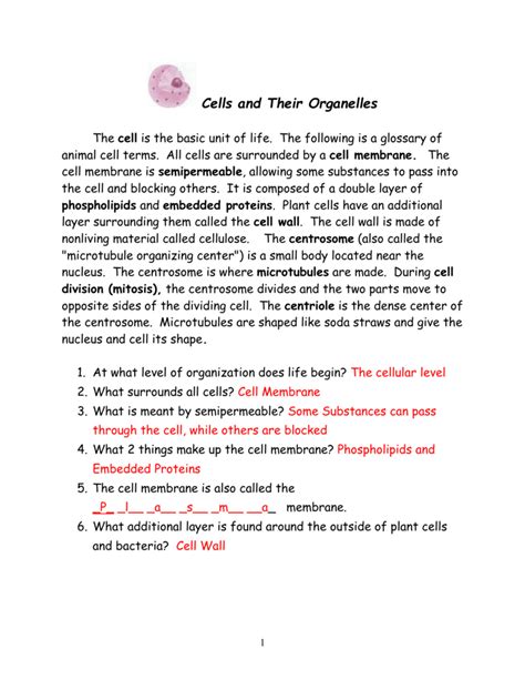 Cell Notes Packet Answers