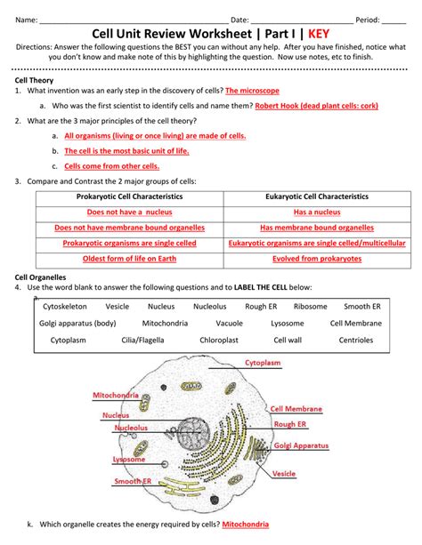 Cell Organelle Research Answer Key Structure And Cell Cell Organelle Research Worksheet Answers - Cell Organelle Research Worksheet Answers