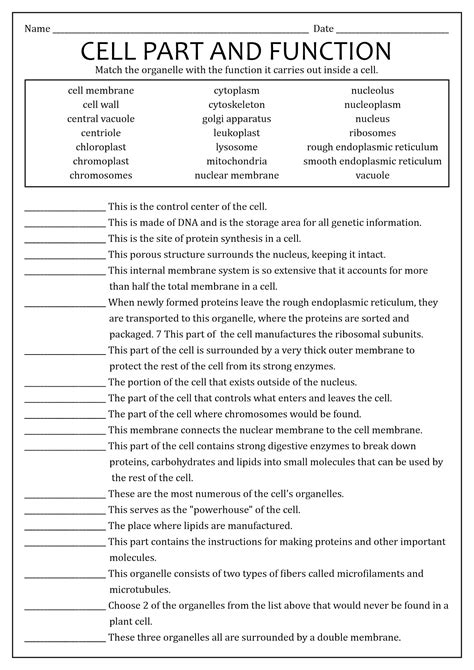 Cell Organelles And Their Functions Worksheet Answers Cell Organelles Worksheet High School - Cell Organelles Worksheet High School