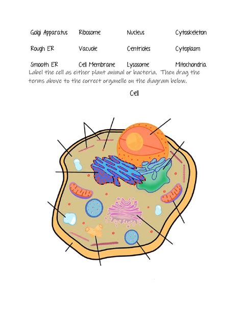 Cell Organelles Interactive Worksheet Live Worksheets Cell Organelle Research Worksheet Answers - Cell Organelle Research Worksheet Answers