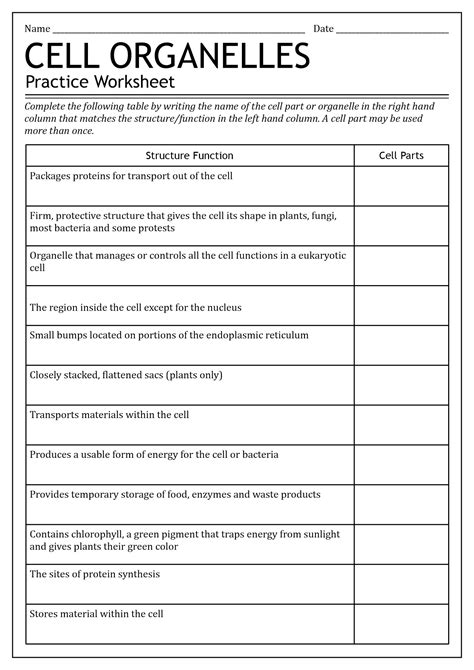 Cell Organelles Worksheet Cell Organelle Worksheet High School - Cell Organelle Worksheet High School