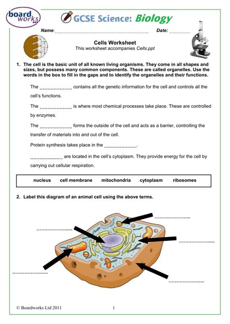 Cell Parts Worksheets K12 Workbook Cell Parts Worksheet - Cell Parts Worksheet