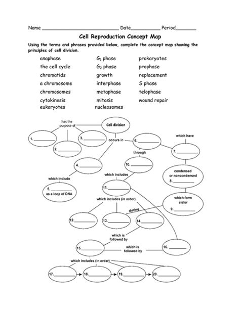 Cell Reproduction Concept Map Answer Key