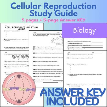 cell reproduction study guide answers