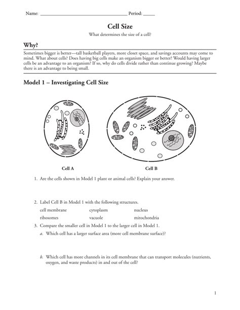 Cell Size Worksheet   How To Make All Cells The Same Size - Cell Size Worksheet