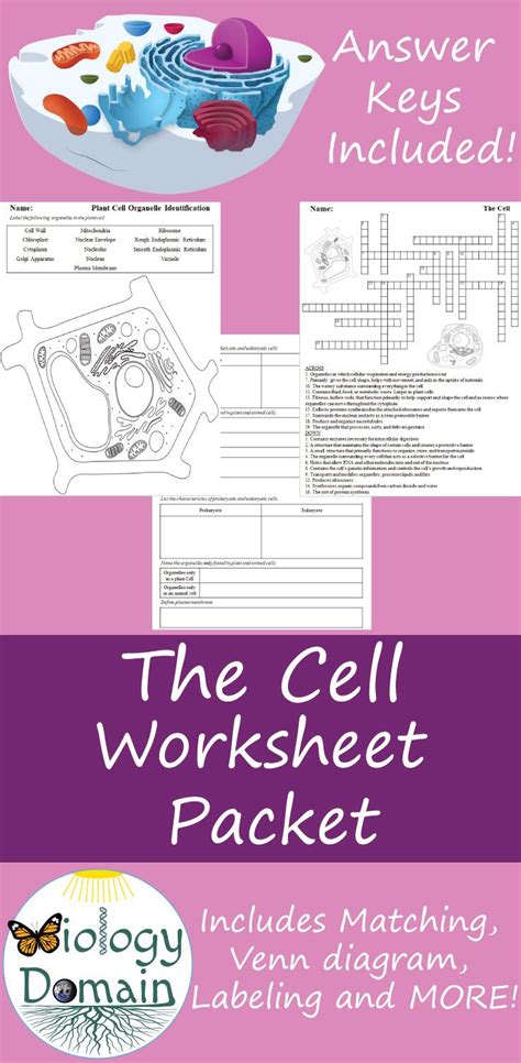 Cell Specialization Lesson Plans Amp Worksheets Reviewed By Cell Specialization Worksheet - Cell Specialization Worksheet