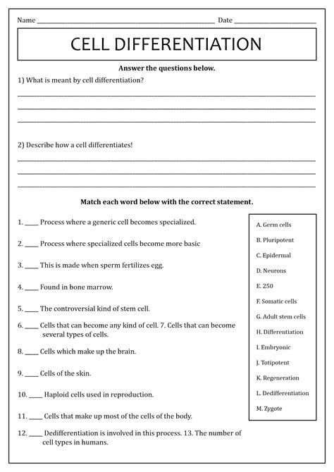 Cell Specialization Worksheets Learny Kids Cell Specialization Worksheet - Cell Specialization Worksheet