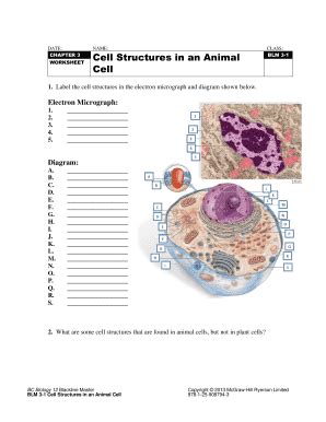 Cell Structure And Function Arlington Central School District Cell Structure Worksheet Answers - Cell Structure Worksheet Answers