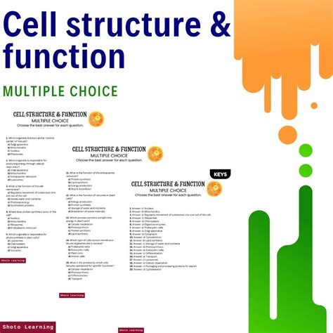 Cell Structure And Function Skills Worksheet Answers