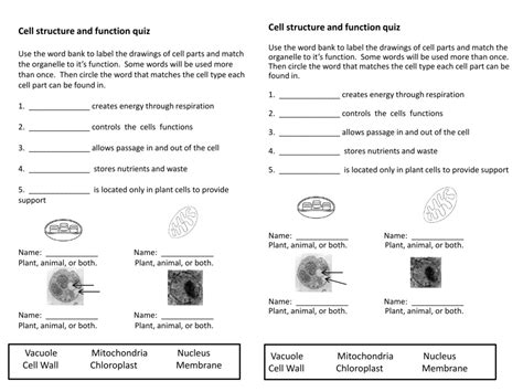 Cell Structure And Function Test Answers