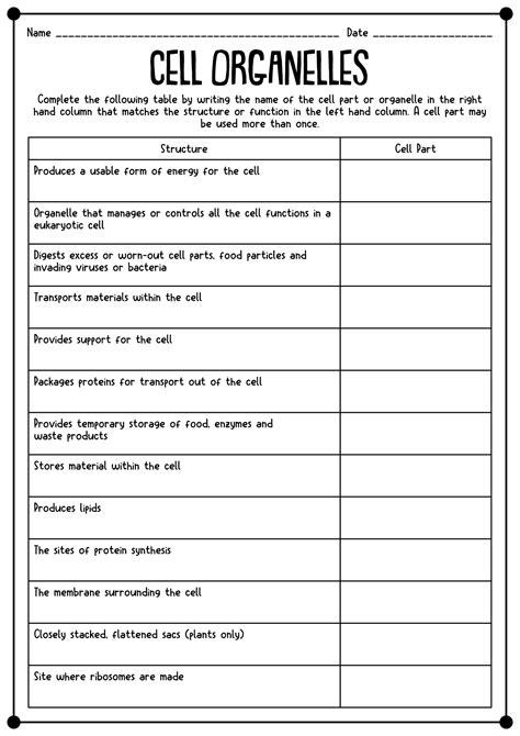 Cell Structure And Function Worksheet Printable And Distance Cell Structure Worksheet High School - Cell Structure Worksheet High School