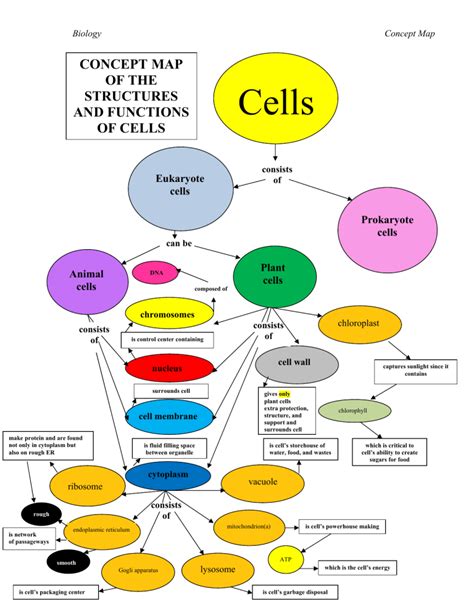 Cell Structure Concept Map