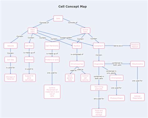 cell structure concept mapping answer key