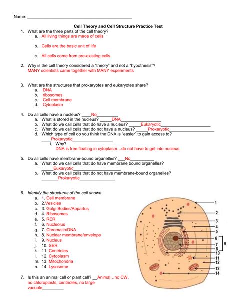 Cell Structure Questions And Revision Mme Cell Structure Worksheet Answers - Cell Structure Worksheet Answers