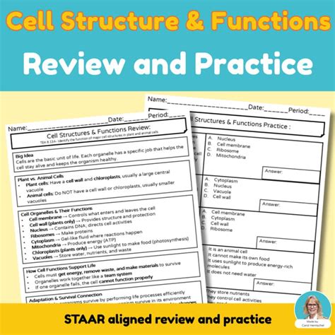 cell structures and functions answer key