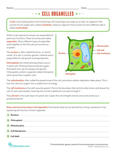 Cell Structures And Organelles Worksheet