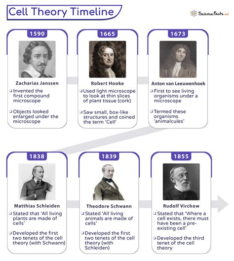 Cell Theory Timeline