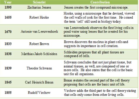 cell theory timeline robert hooke biography