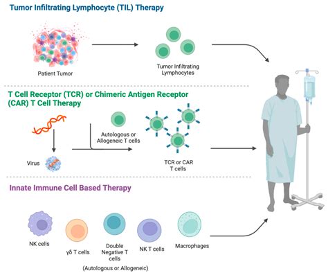 Cell Therapy A New Dimension Of Medicine