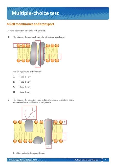 cell transport multiple choice questions test key