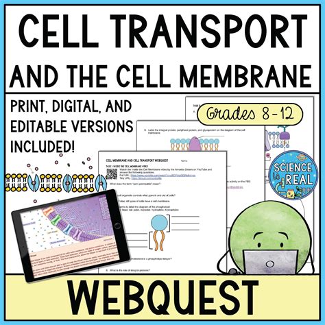 Cell Transport Webquest