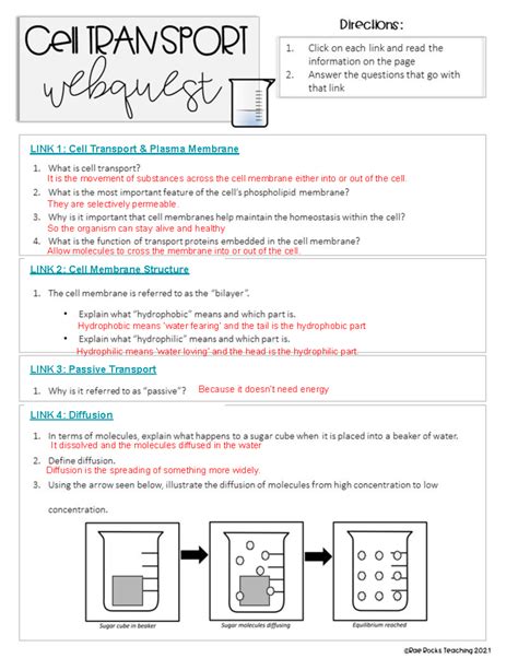 Cell Transport Webquest Answer Key