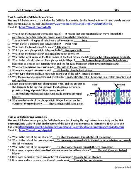 cell webquest with answers