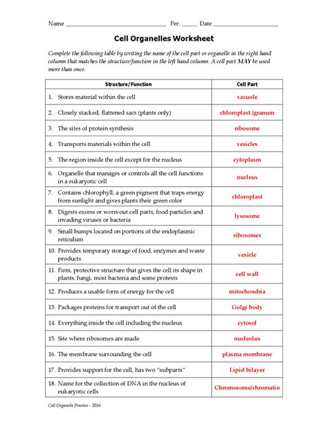 Cell Worksheet Answer Key   Cell Organelles Worksheet Answer Key - Cell Worksheet Answer Key